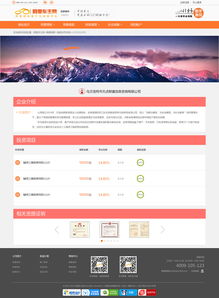 阿里車主網(wǎng) 用戶體驗(yàn)驅(qū)動(dòng)的網(wǎng)頁與網(wǎng)站設(shè)計(jì)策略